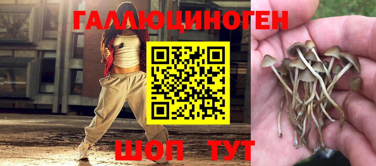 Галлюциногенные грибы Cubensis Тосно